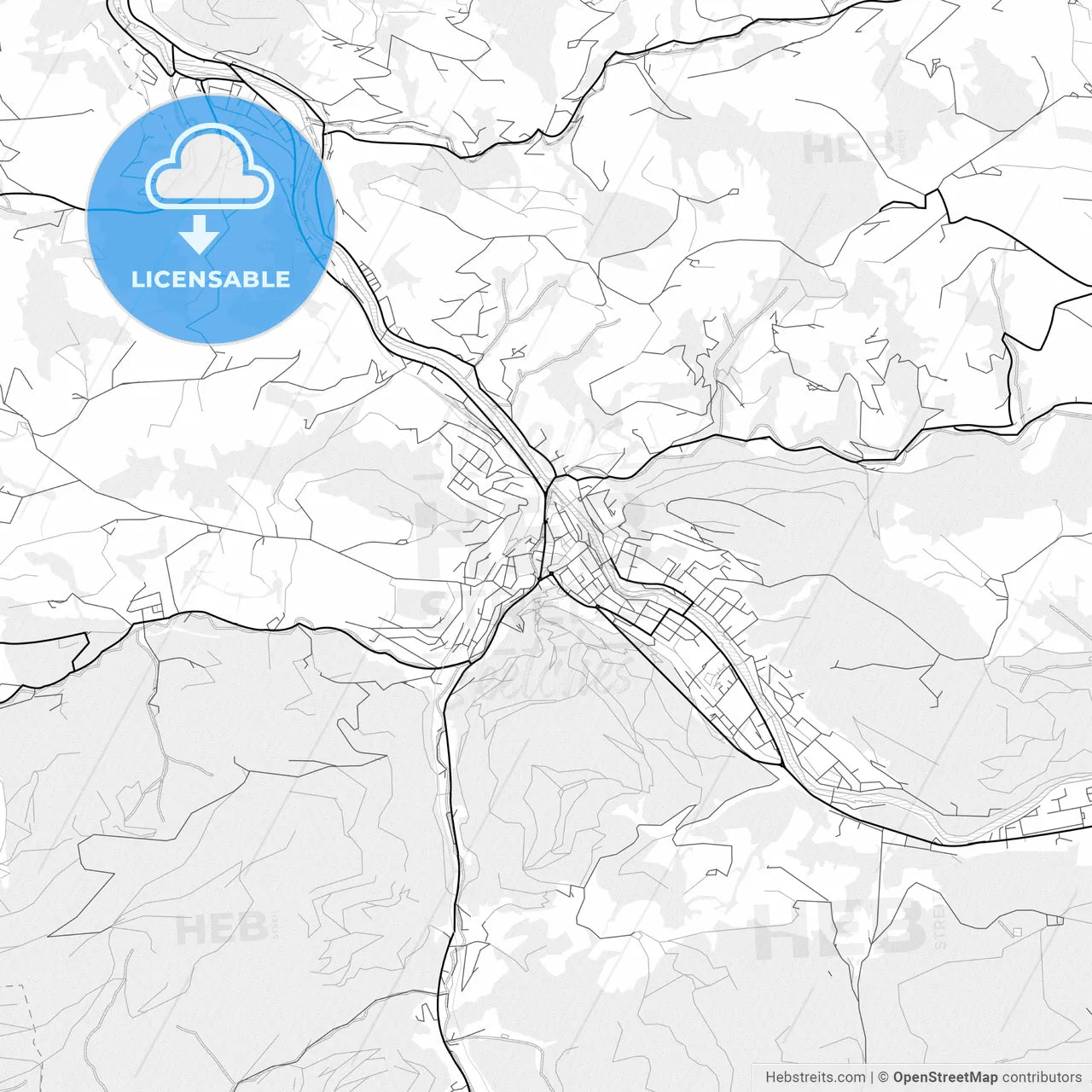Vector PDF map of Waidhofen, Austria