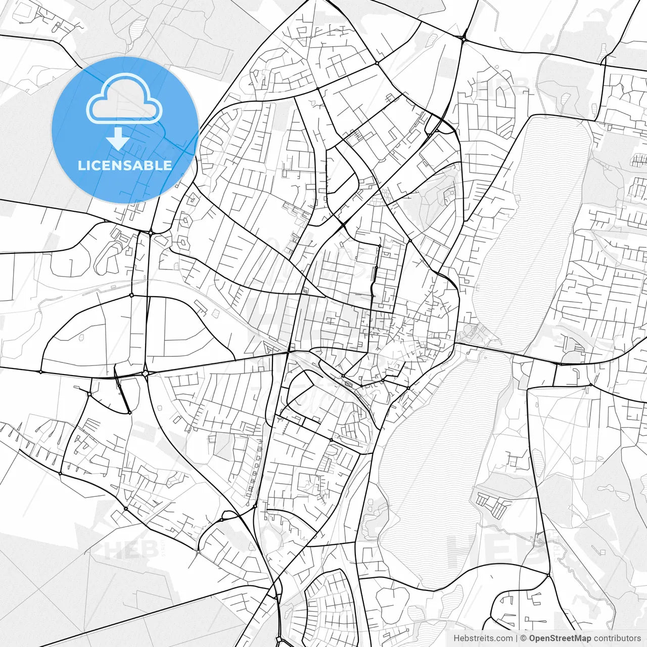Vector PDF map of Viborg, Denmark