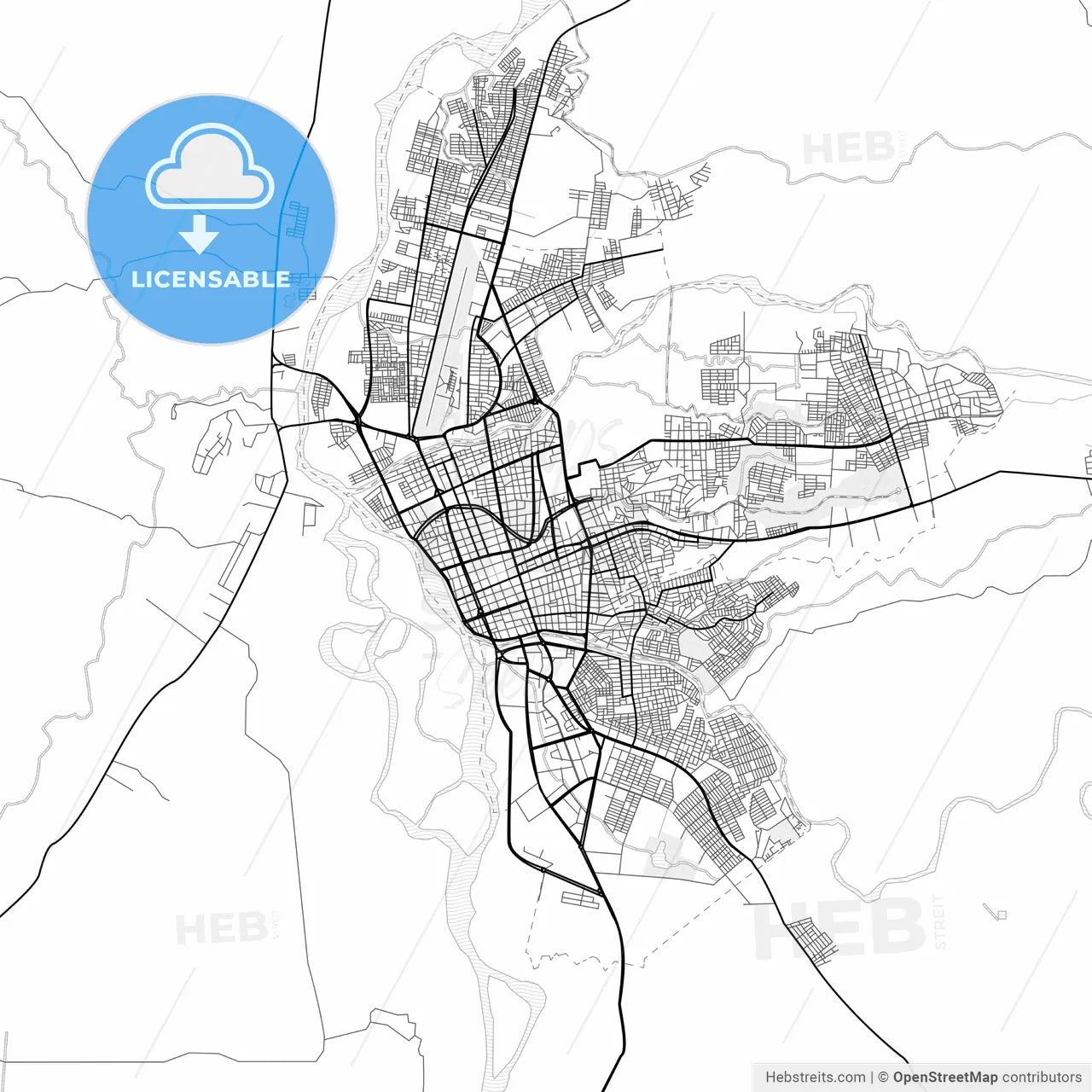 Vector PDF map of Neiva, Colombia