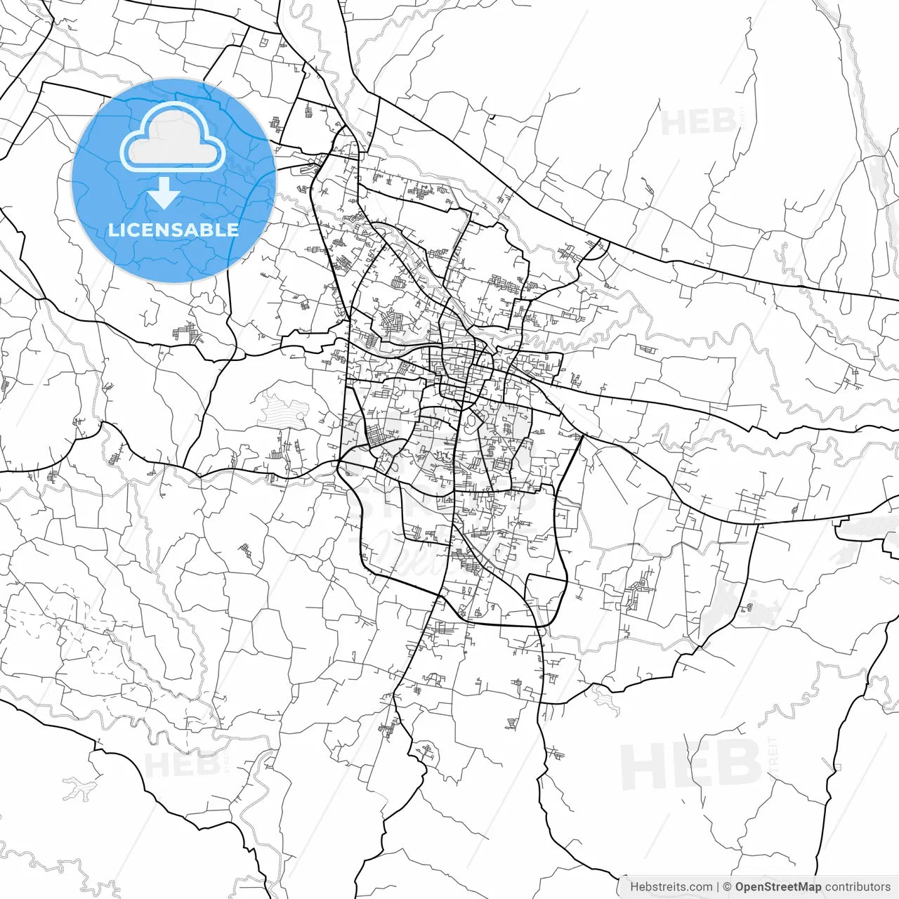 Vector PDF map of Tasikmalaya, Indonesia