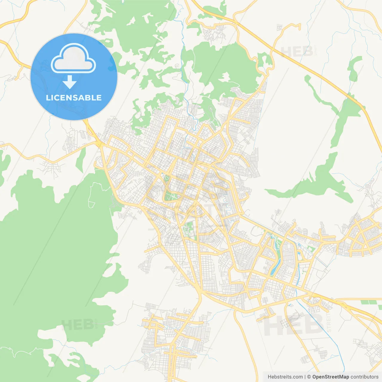 Empty vector map of Tepic, Nayarit, Mexico