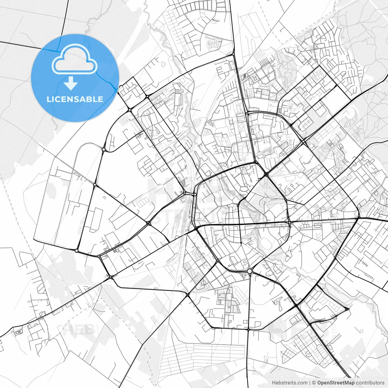 Vector PDF map of Koszalin, Poland