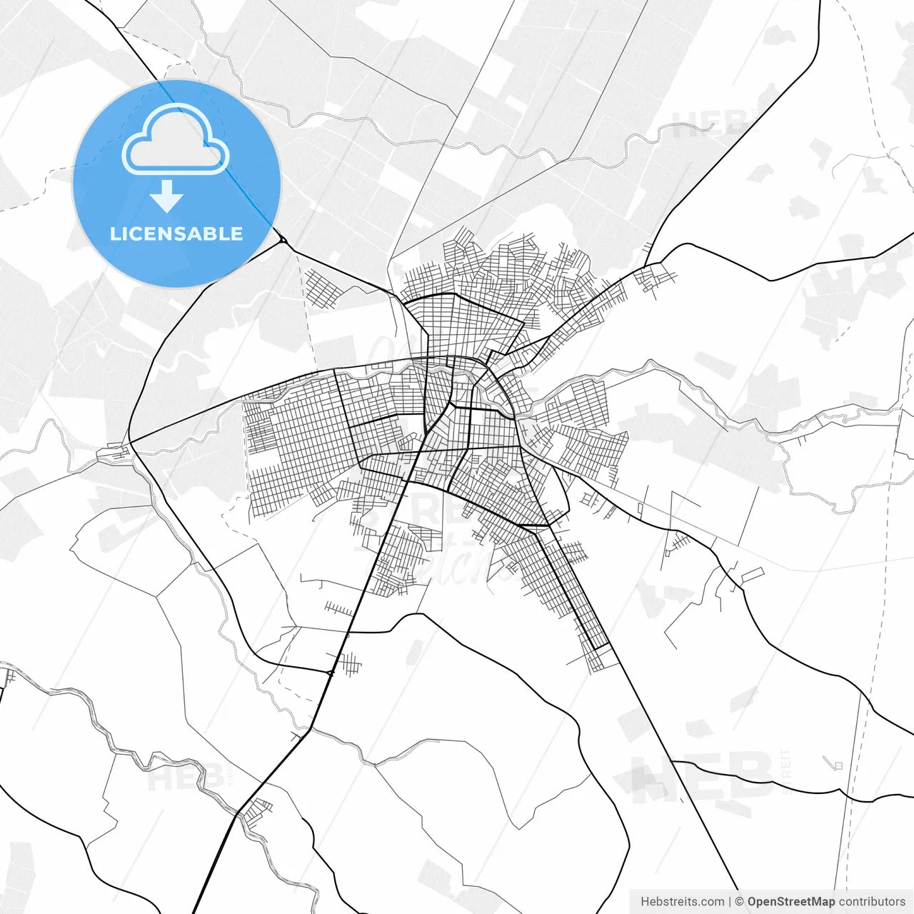 Vector PDF map of Milagro, Ecuador