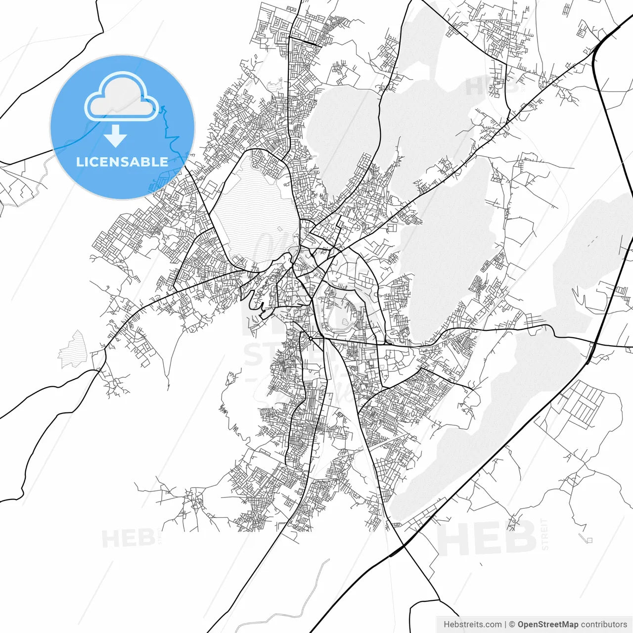 Vector PDF map of Ajmer, India