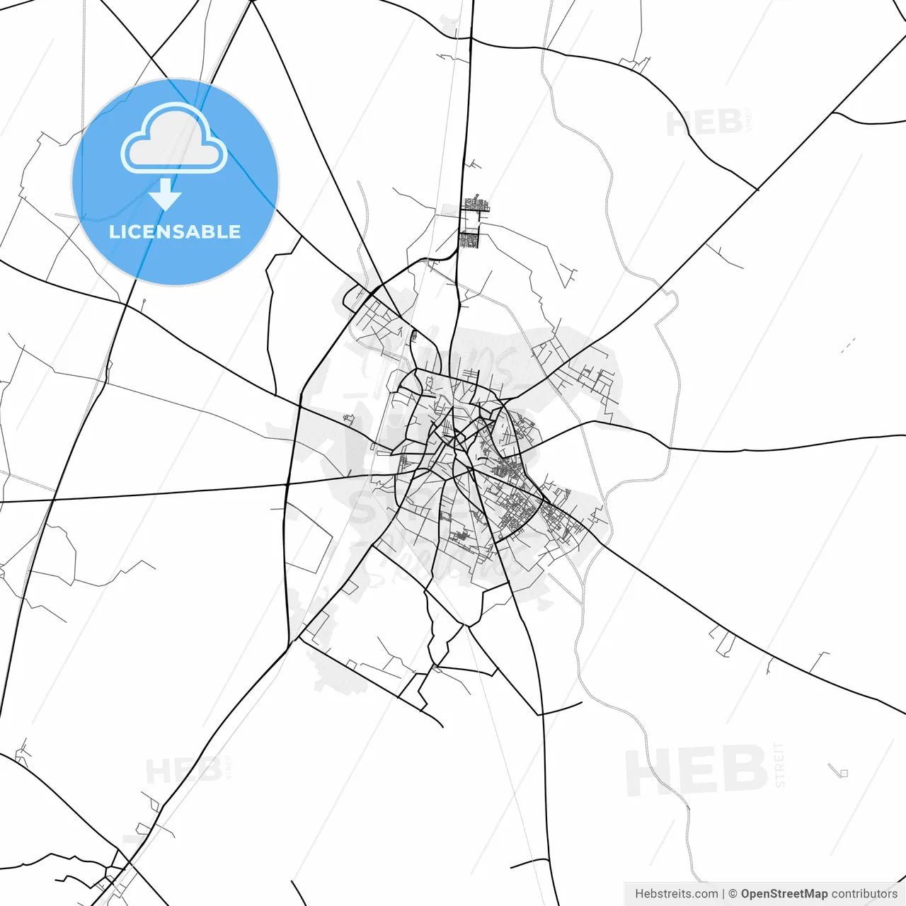 Vector PDF map of Meerut, India