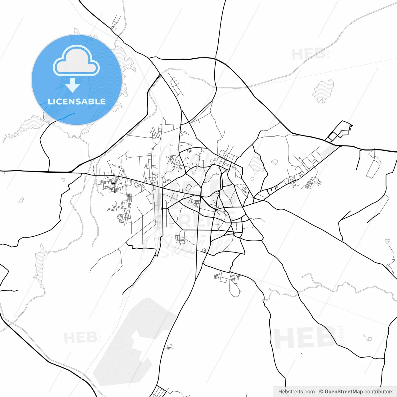 Vector PDF map of Jhansi, India