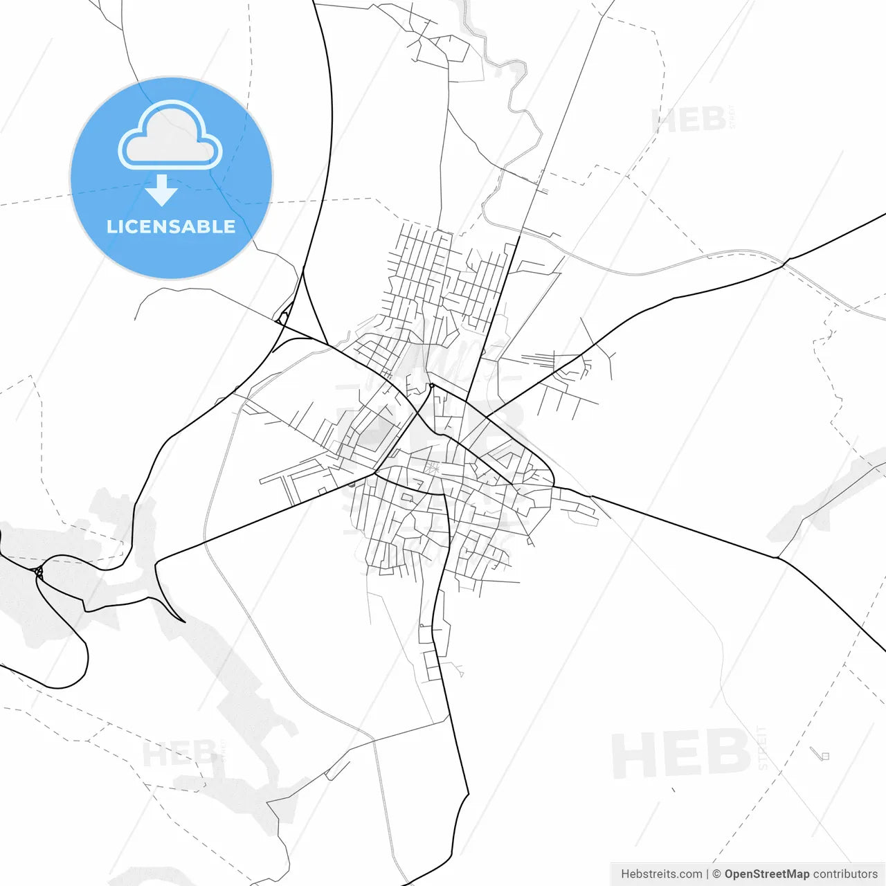 Vector PDF map of Negotin, Serbia