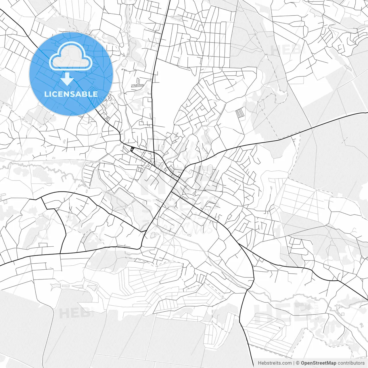 Vector PDF map of Vasylkiv, Ukraine