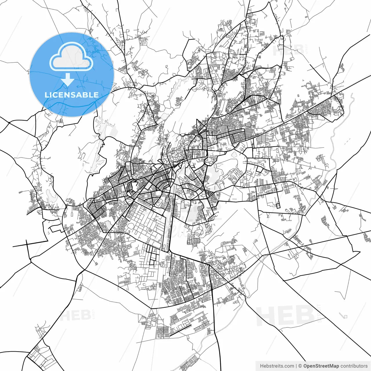 Vector PDF map of Jodhpur, India