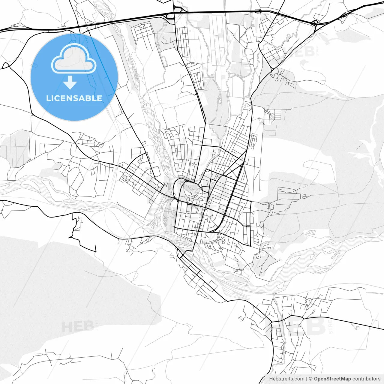 Vector PDF map of Gori, Georgia