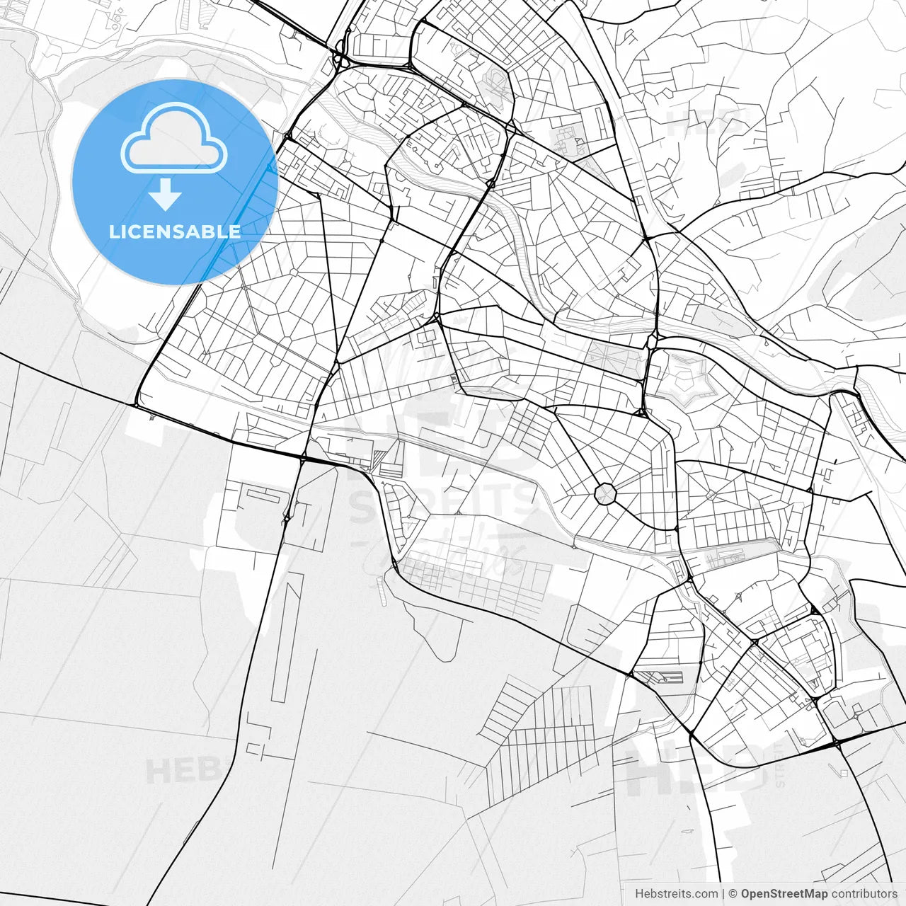 Vector PDF map of Oradea, Romania