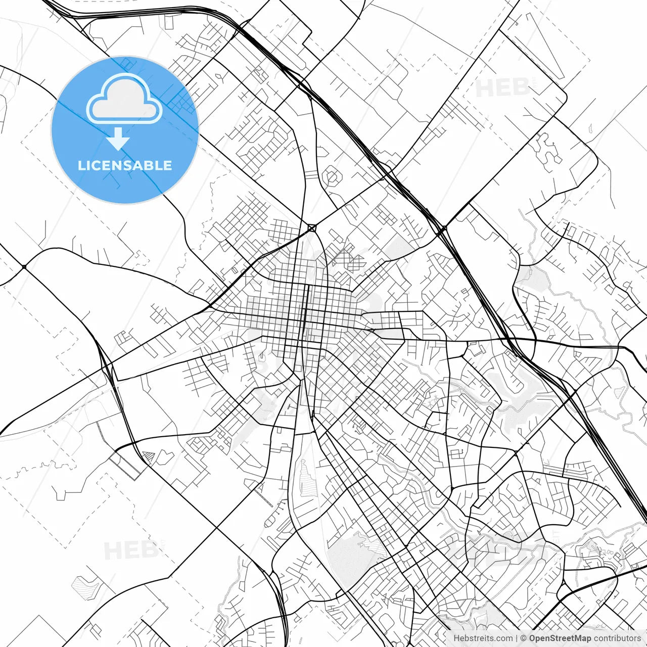 Vector PDF map of Bryan, Texas, United States