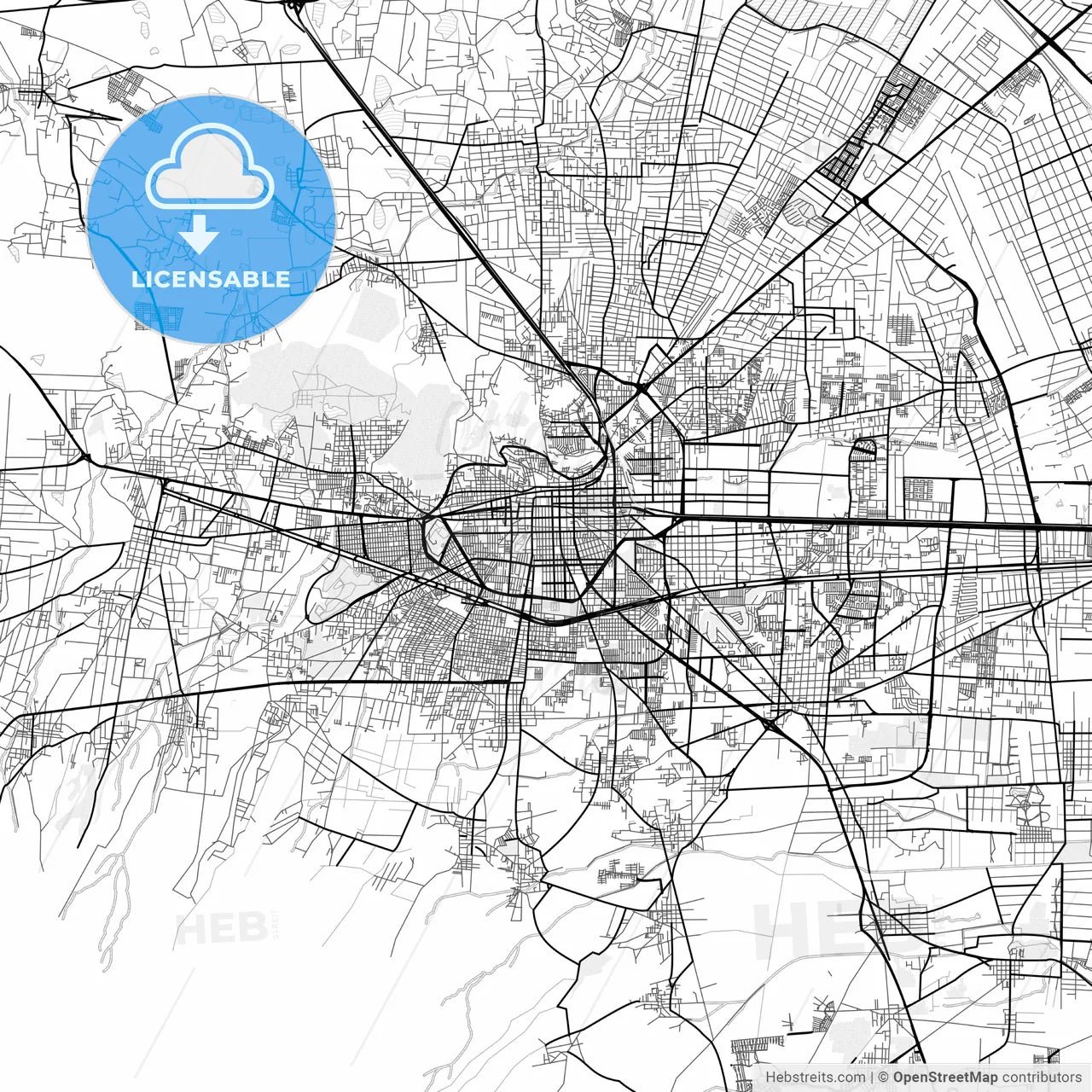 Vector PDF map of Toluca, Mexico