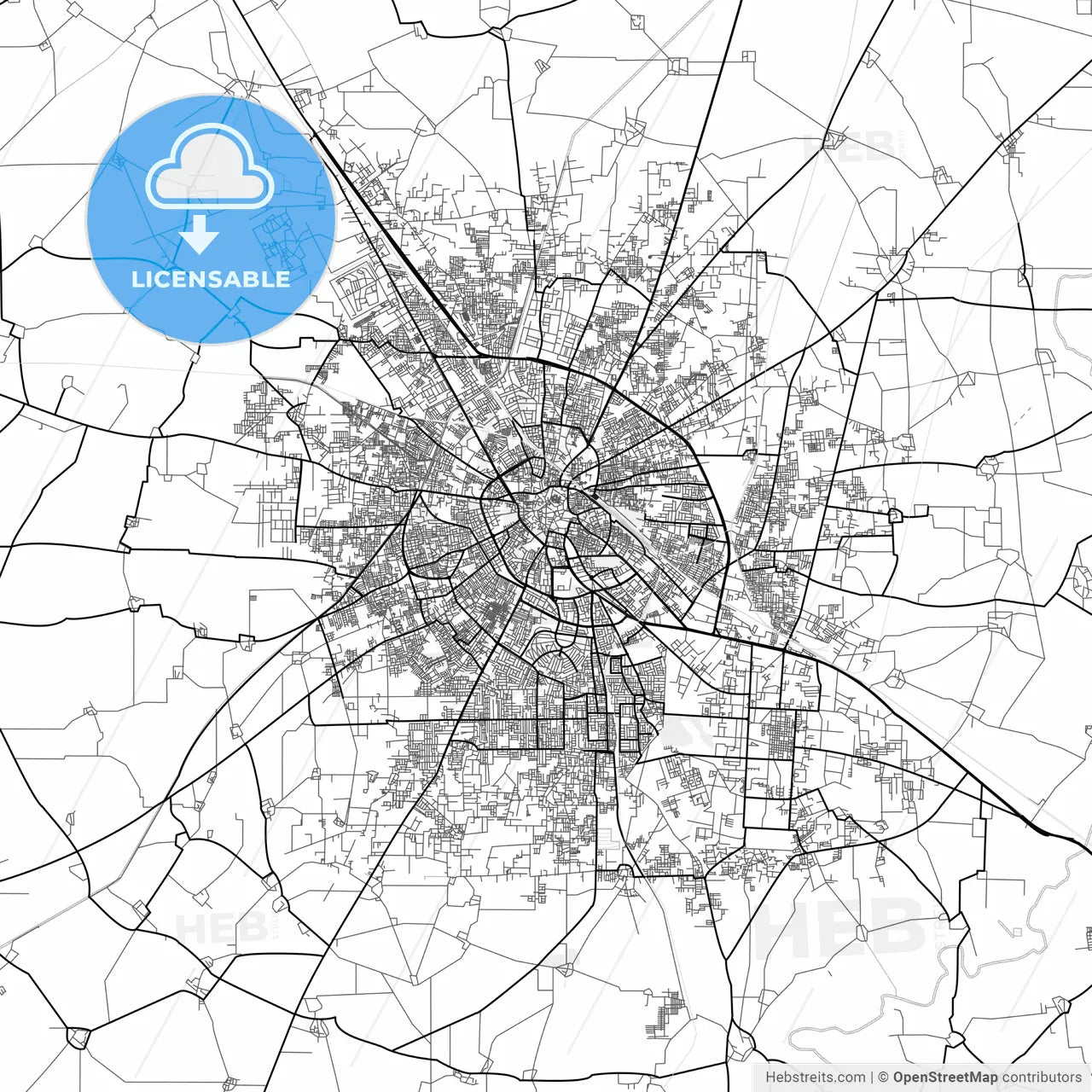 Vector PDF map of Jalandhar, India