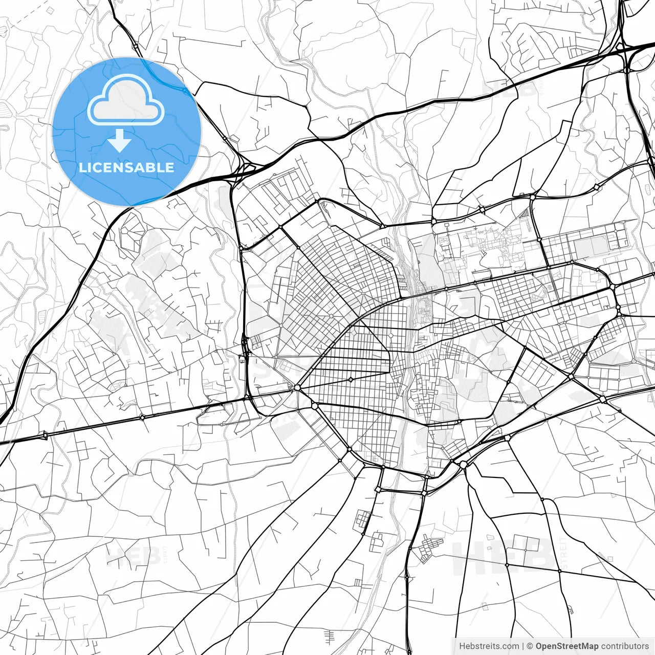 Vector PDF map of Elche, Spain