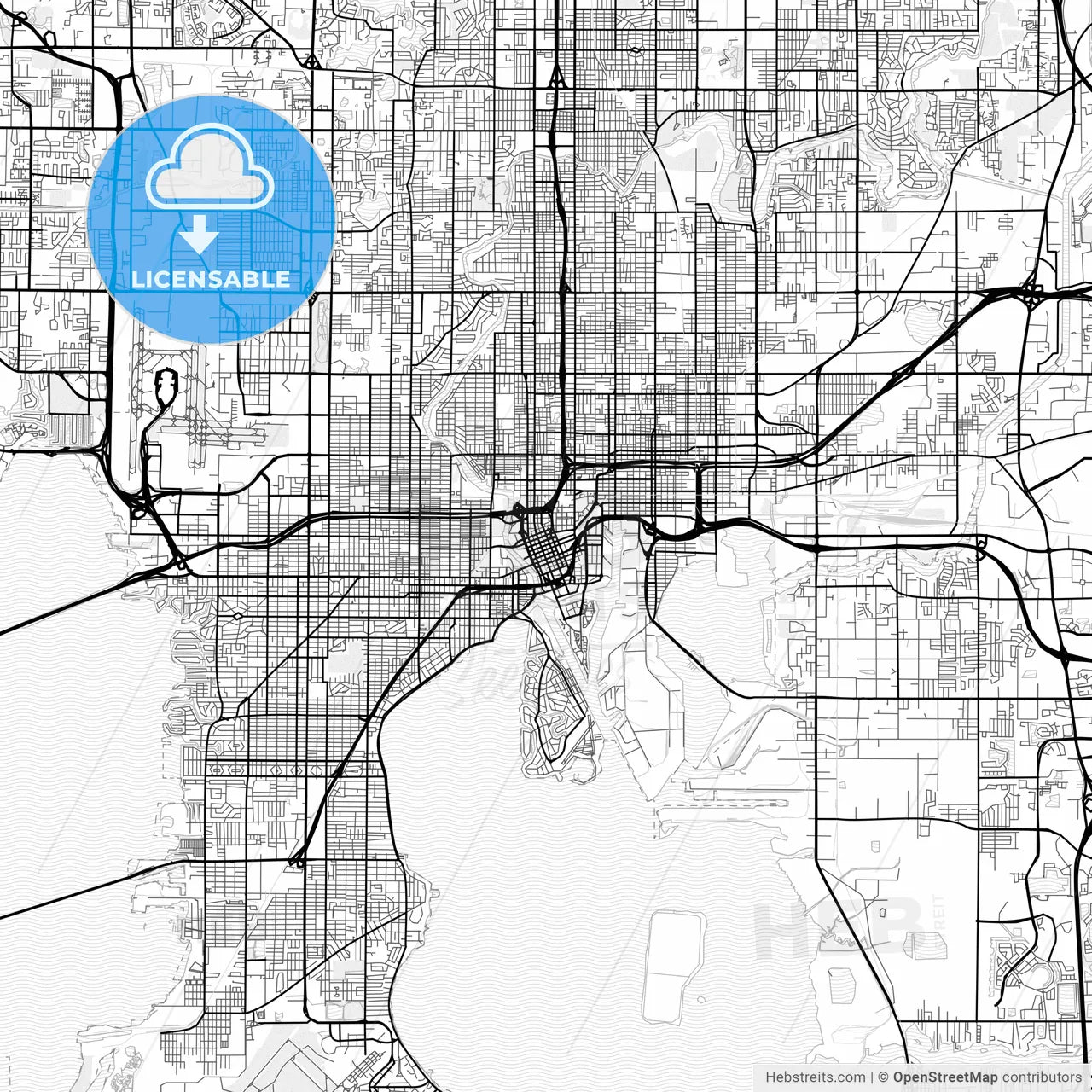 Vector PDF map of Tampa, Florida, United States