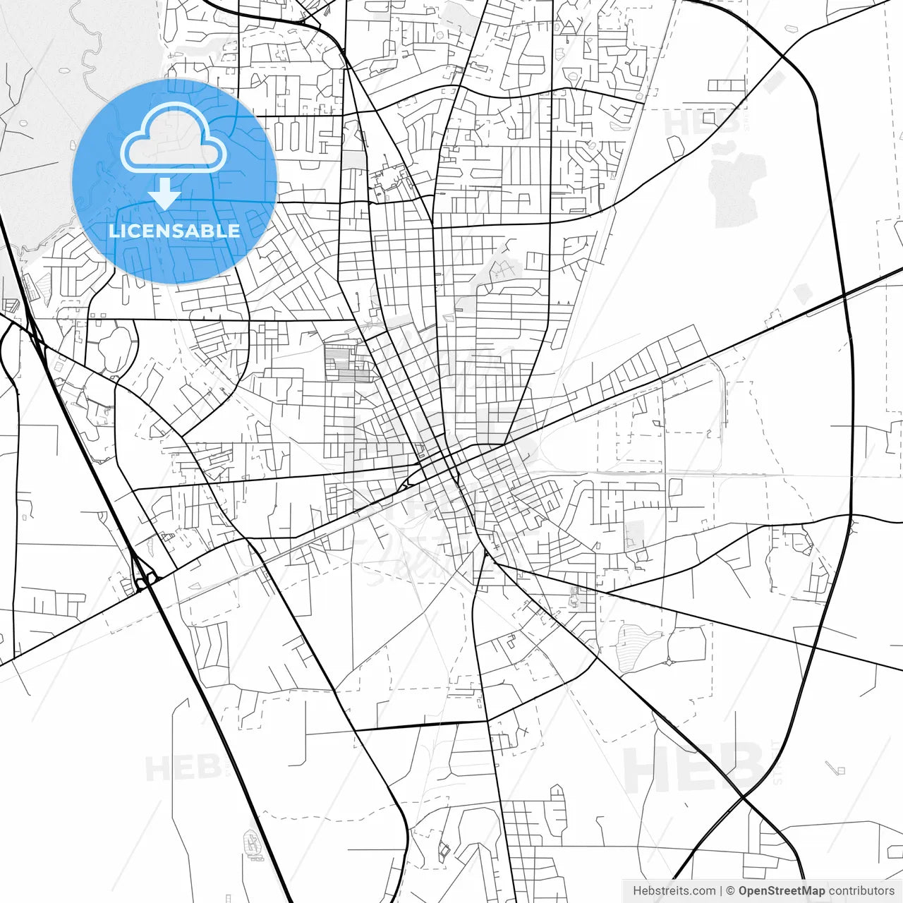 Vector PDF map of Valdosta, Georgia, United States