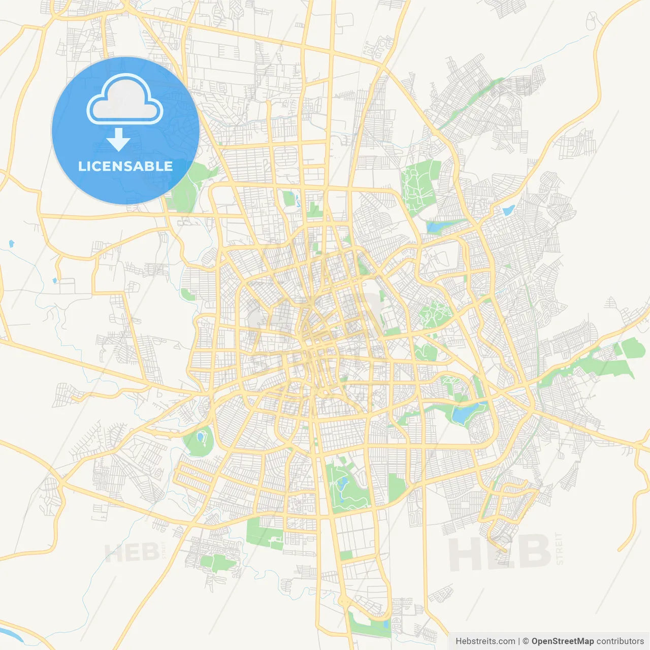 Empty vector map of Aguascalientes, Aguascalientes, Mexico