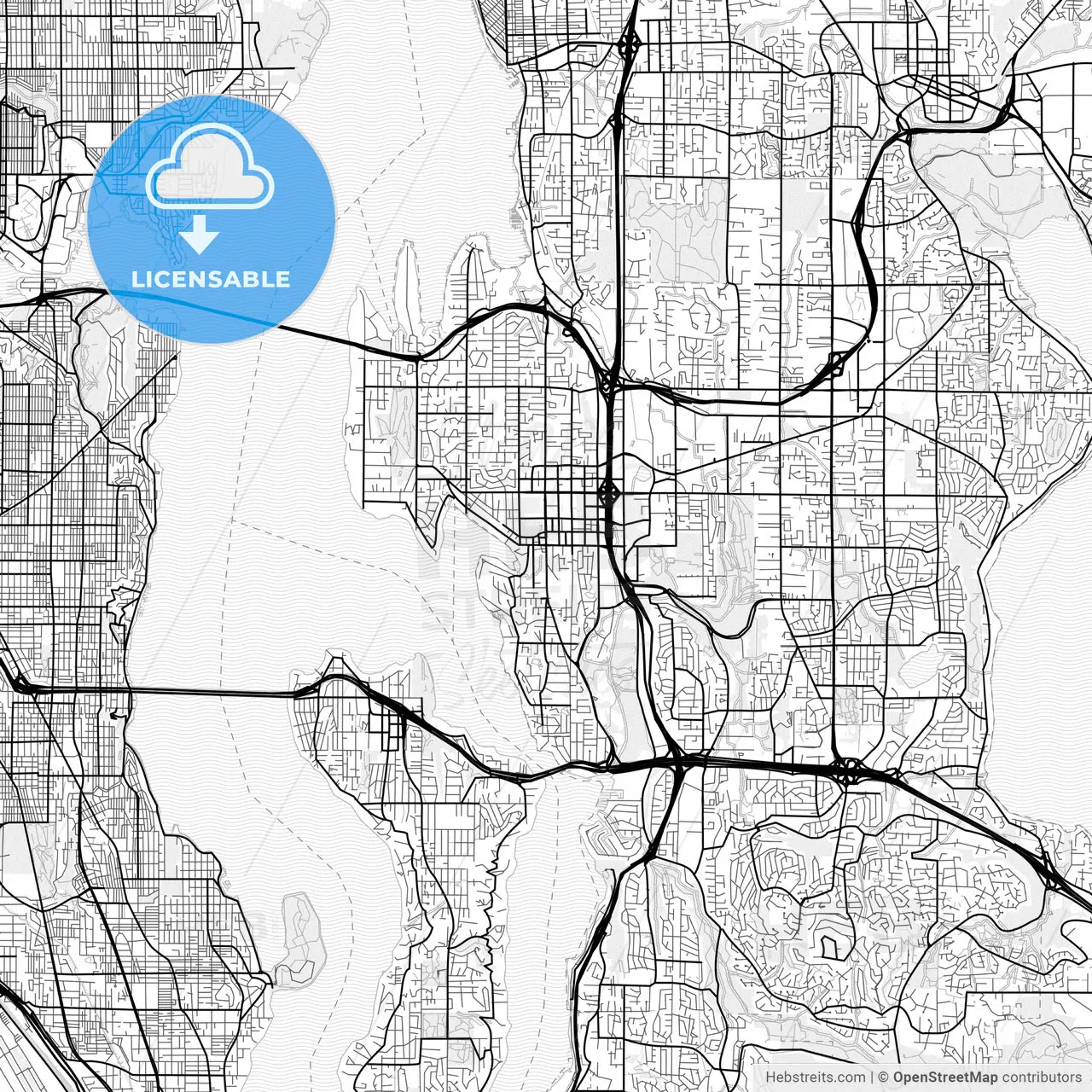 Vector PDF map of Bellevue, Washington, United States