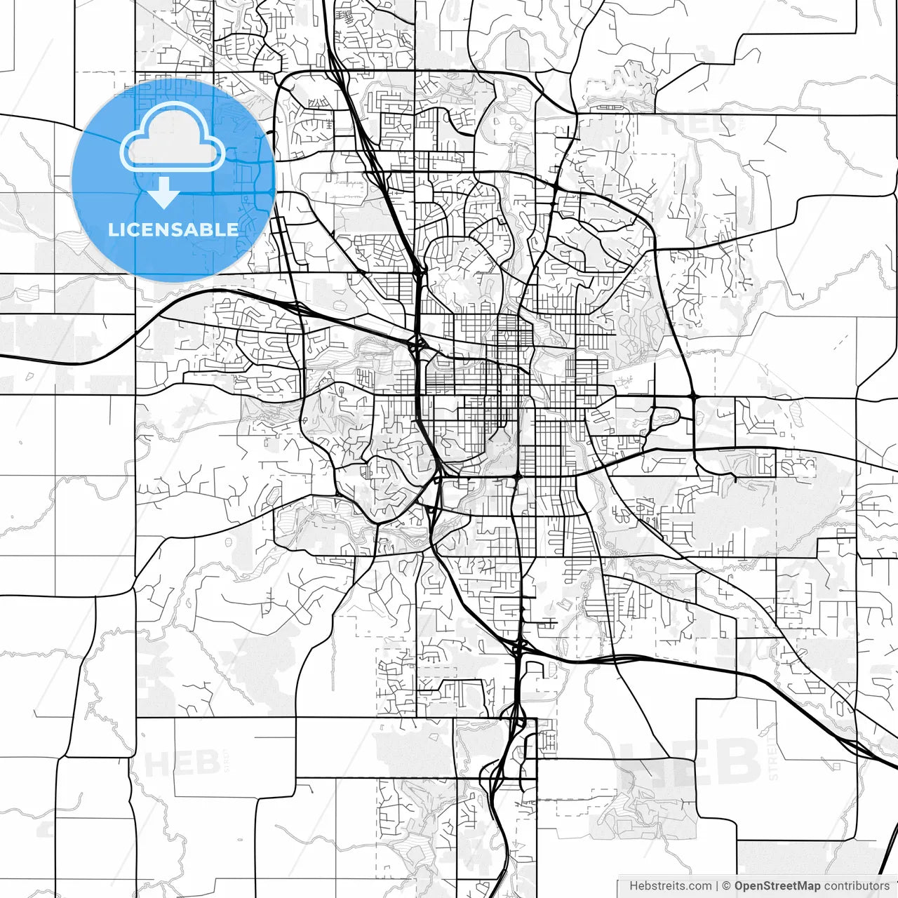 Vector PDF map of Rochester, Minnesota, United States