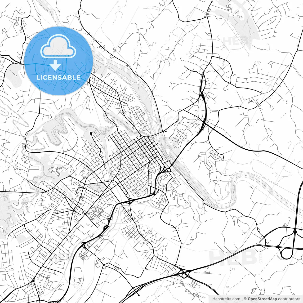 Vector PDF map of Lynchburg, Virginia, United States
