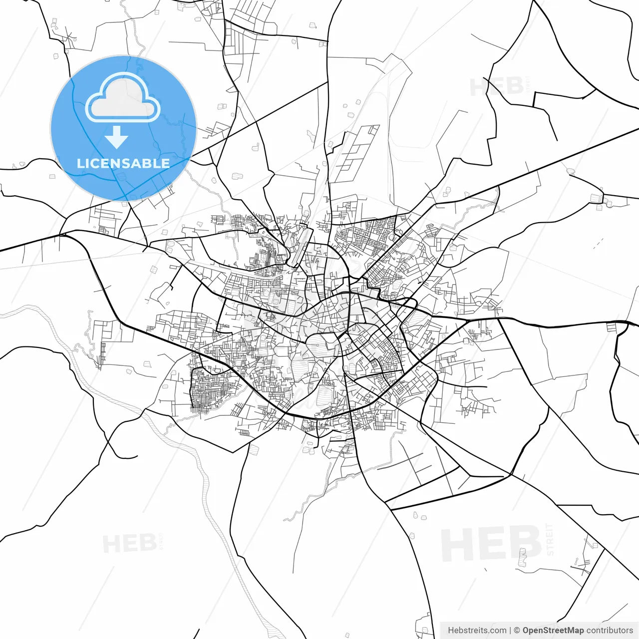 Vector PDF map of Raipur, India