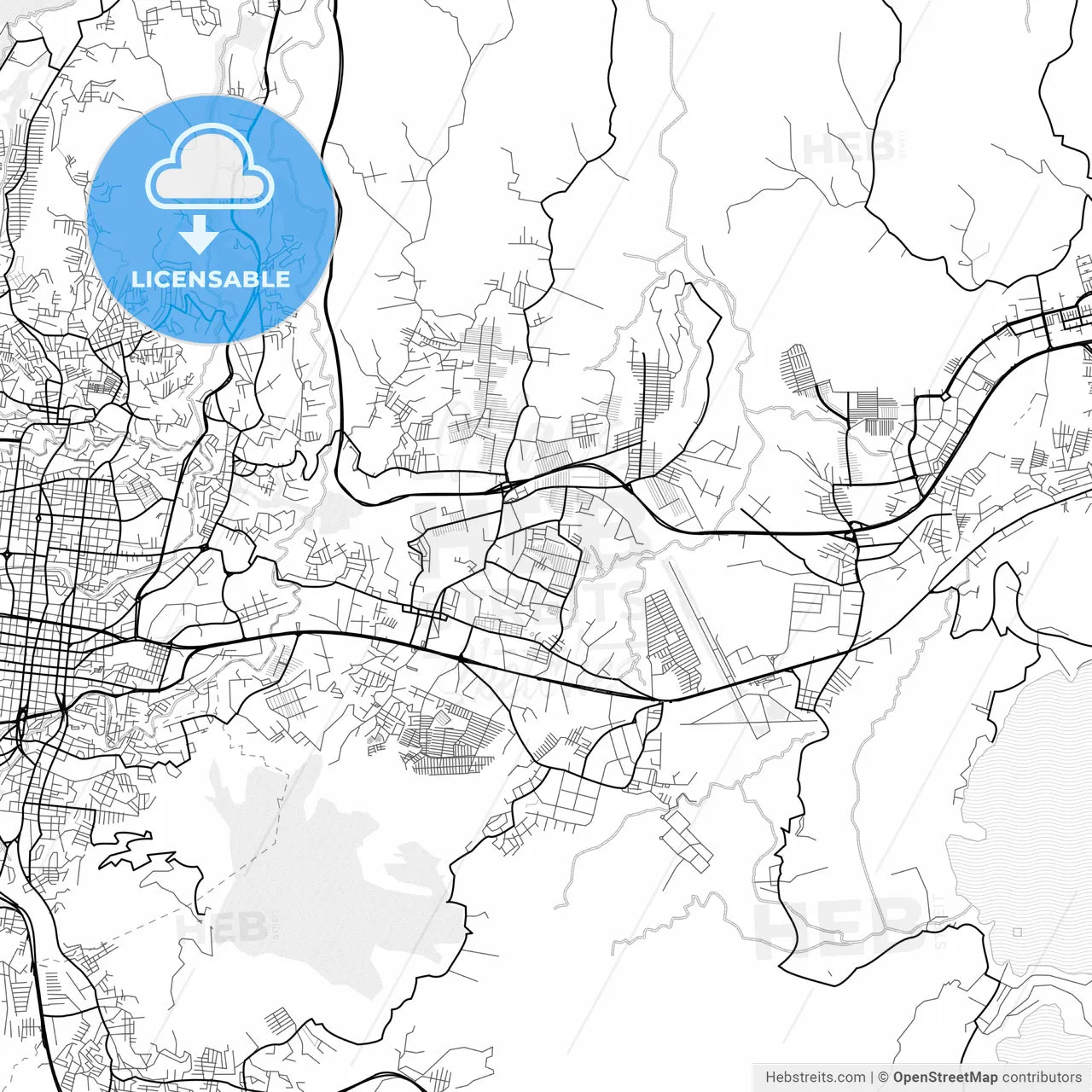Vector PDF map of Soyapango, El Salvador