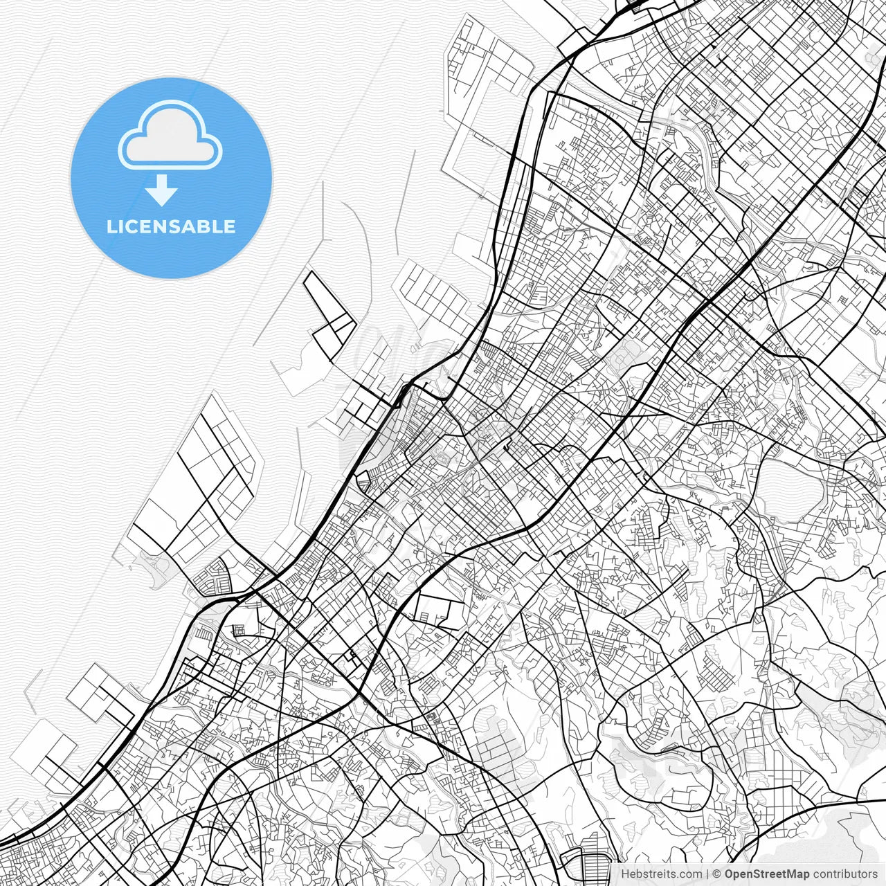 Vector PDF map of Kishiwada, Japan