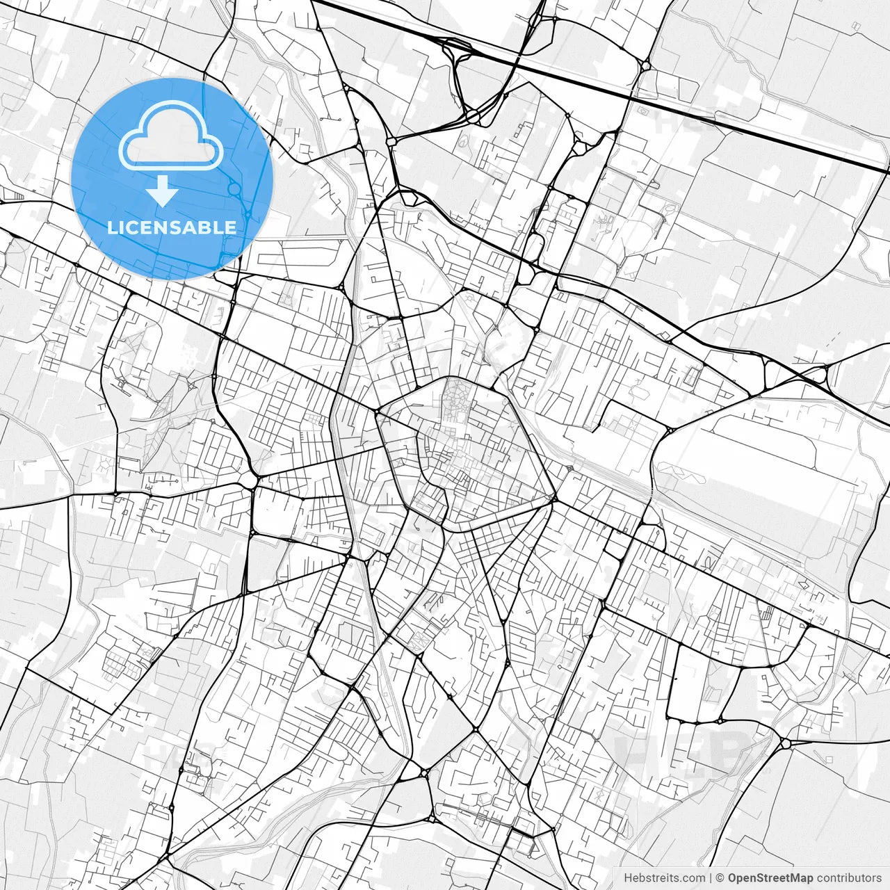 Vector PDF map of Reggio Emilia, Italy