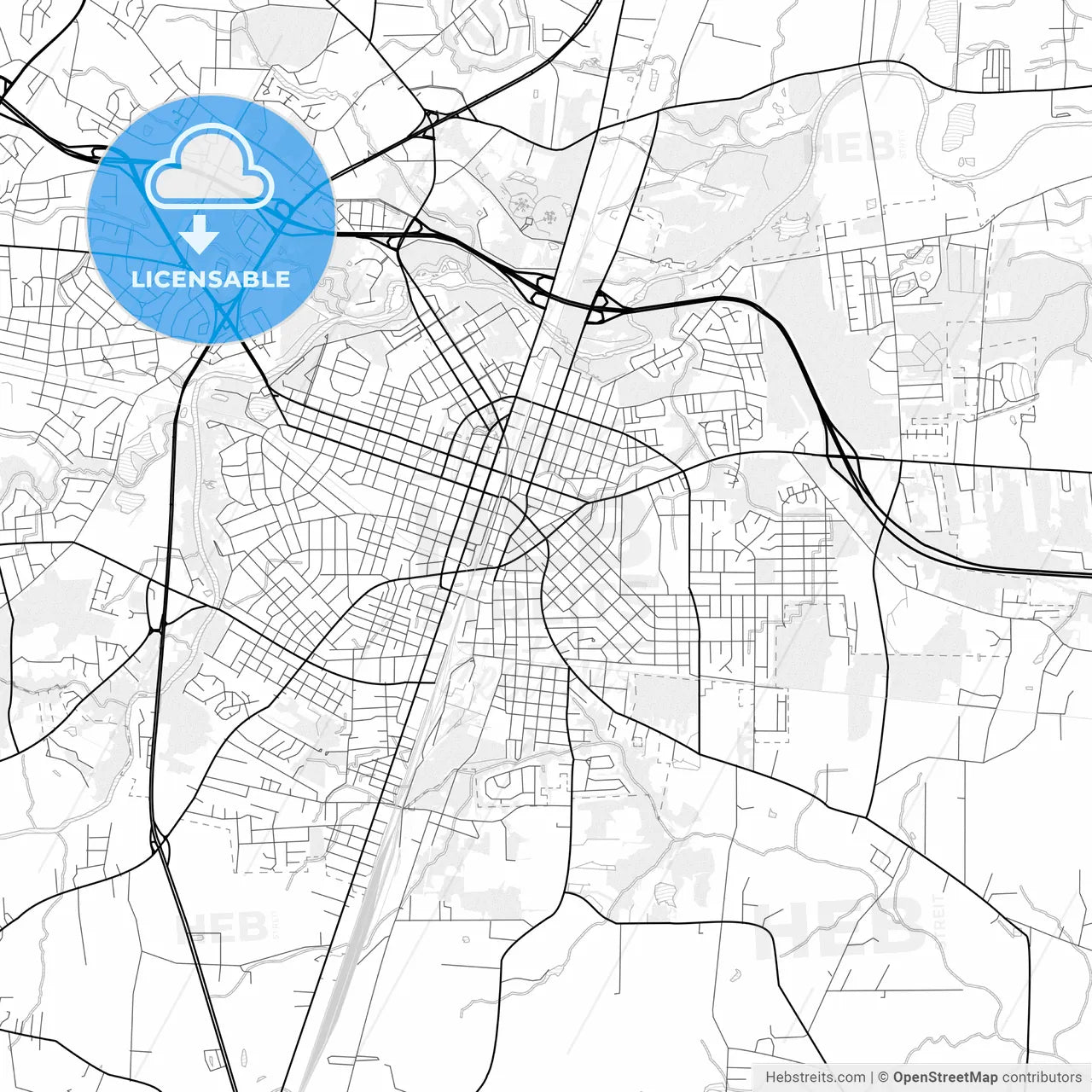 Vector PDF map of Rocky Mount, North Carolina, United States