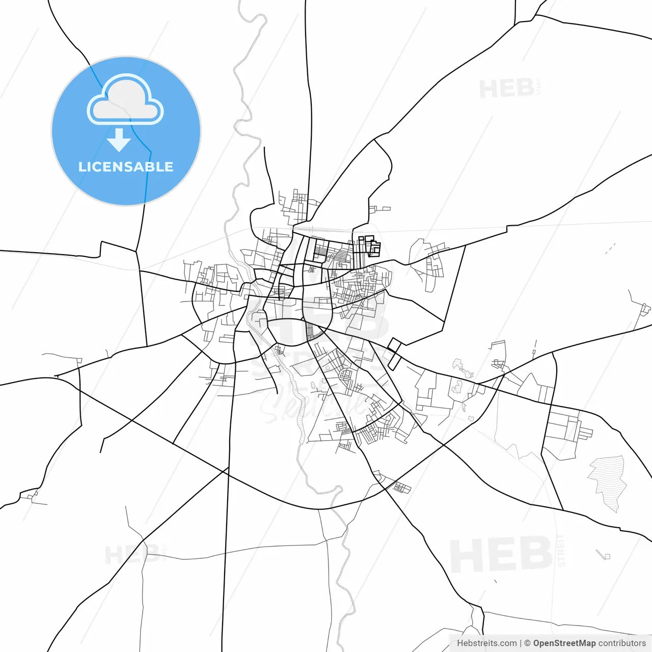 Vector PDF map of Akola, India