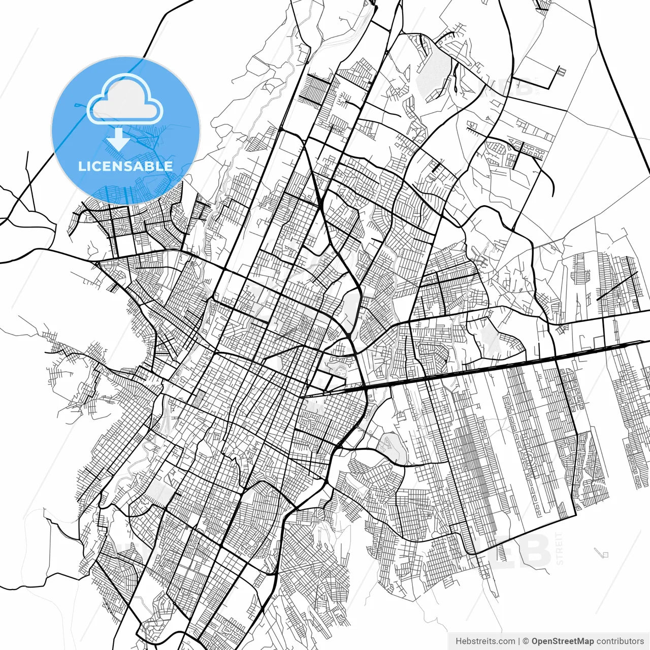 Vector PDF map of Saltillo, Mexico