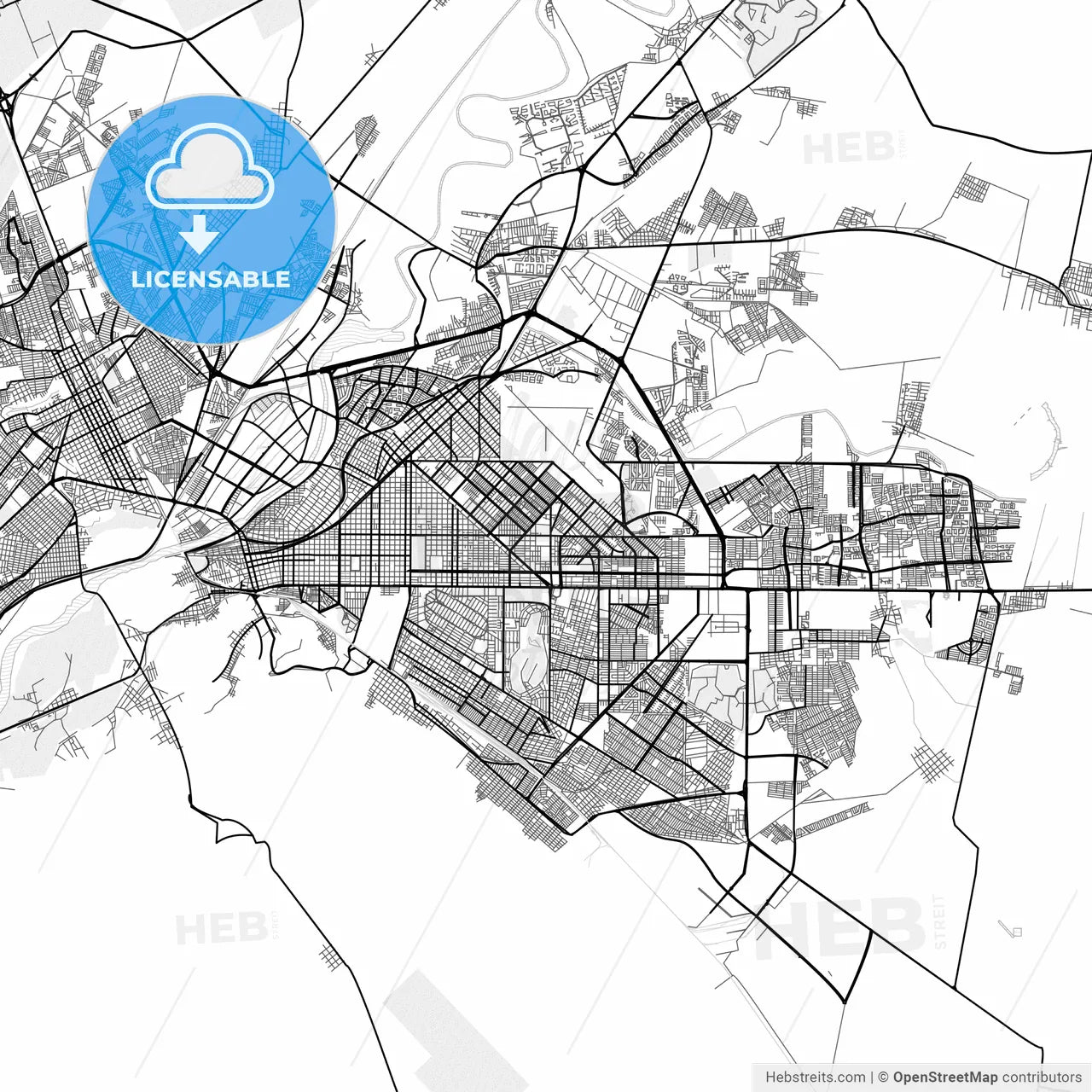 Vector PDF map of Torreón, Mexico