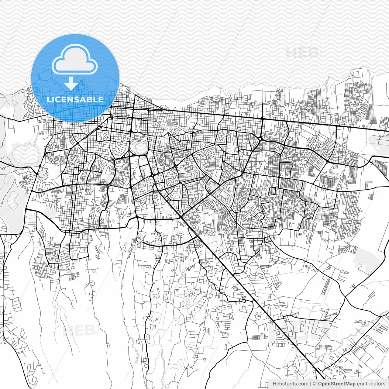 Vector PDF map of Managua, Nicaragua