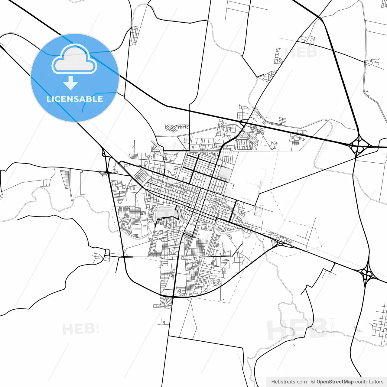 Vector PDF map of Salamanca, Mexico