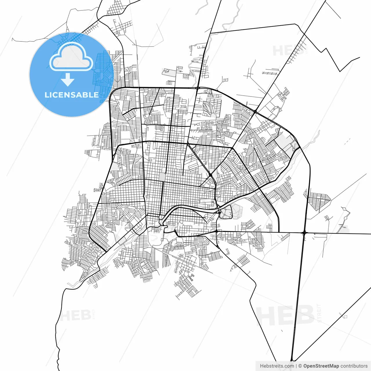 Vector PDF map of Ciudad Victoria, Mexico