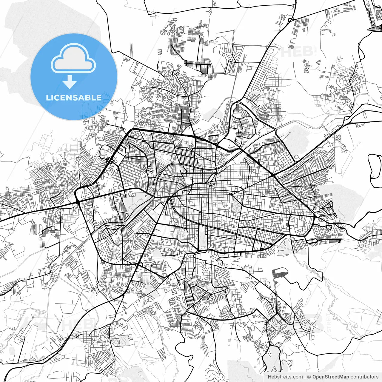 Vector PDF map of Morelia, Mexico