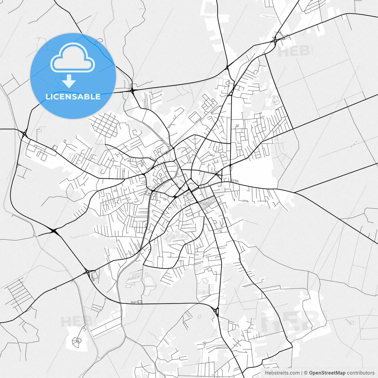 Vector PDF map of Bijeljina, Bosnia and Herzegovina
