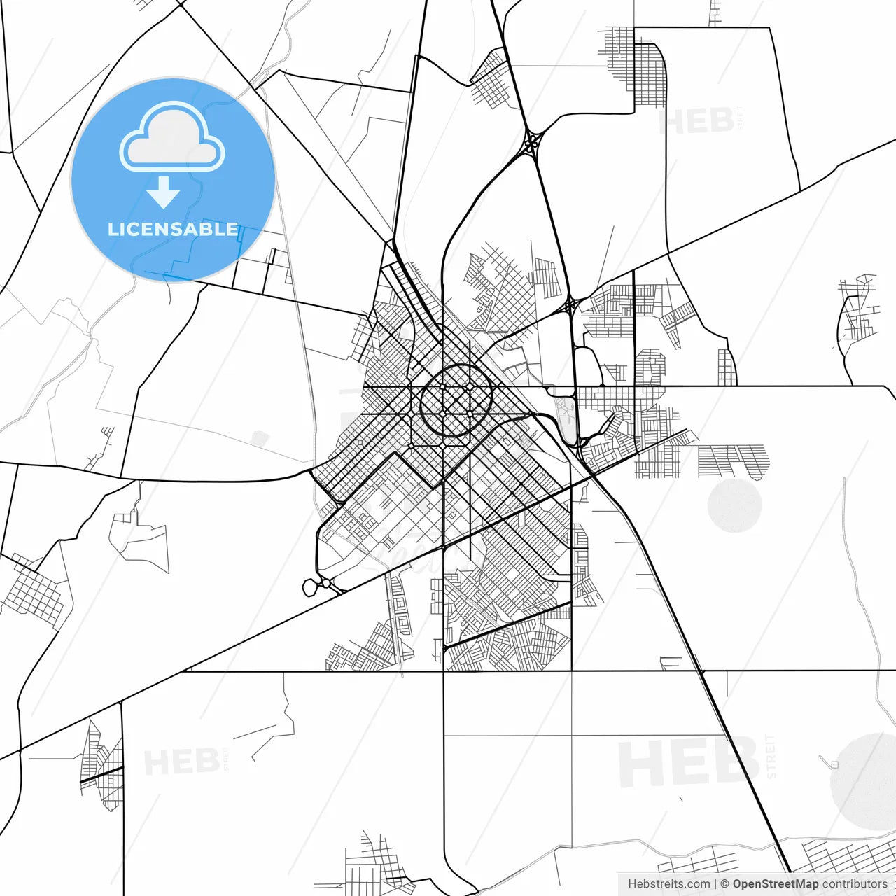 Vector PDF map of Delicias, Mexico