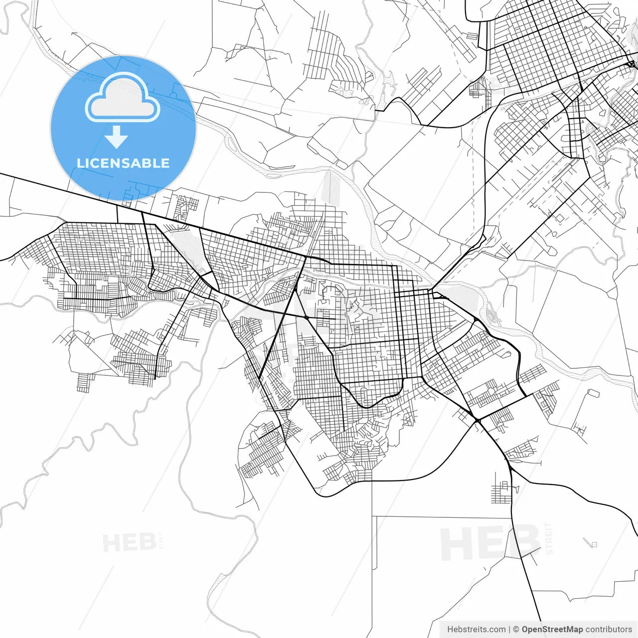 Vector PDF map of Ciudad Acuña, Mexico
