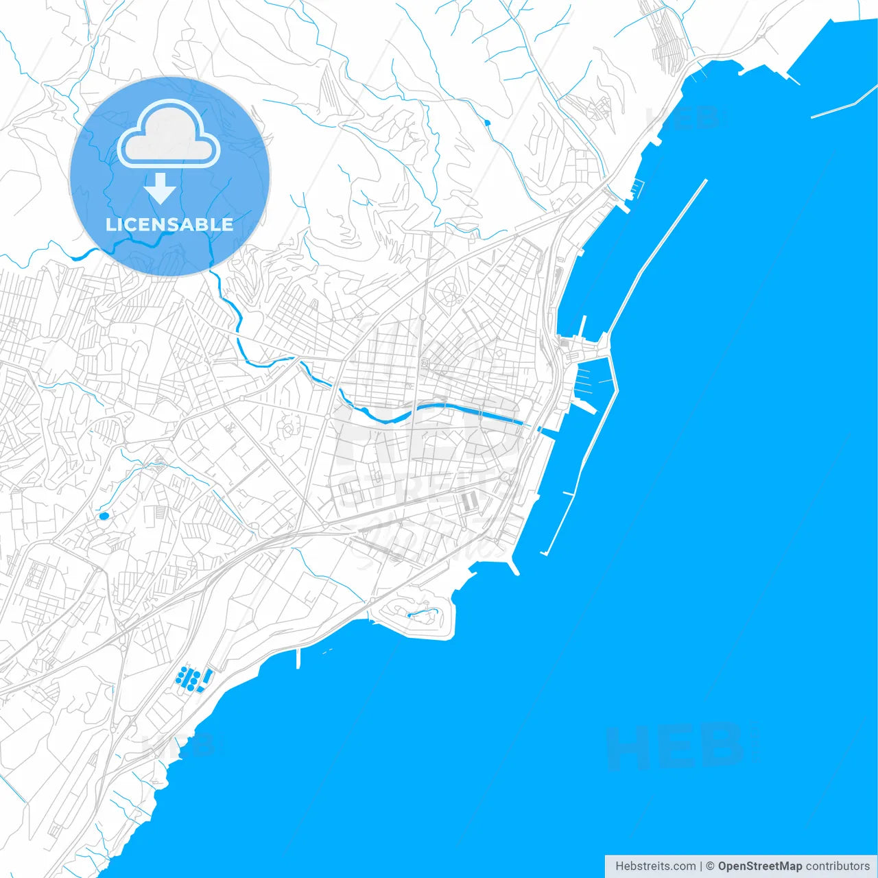 Santa Cruz de Tenerife, Spain bright two-toned vector map