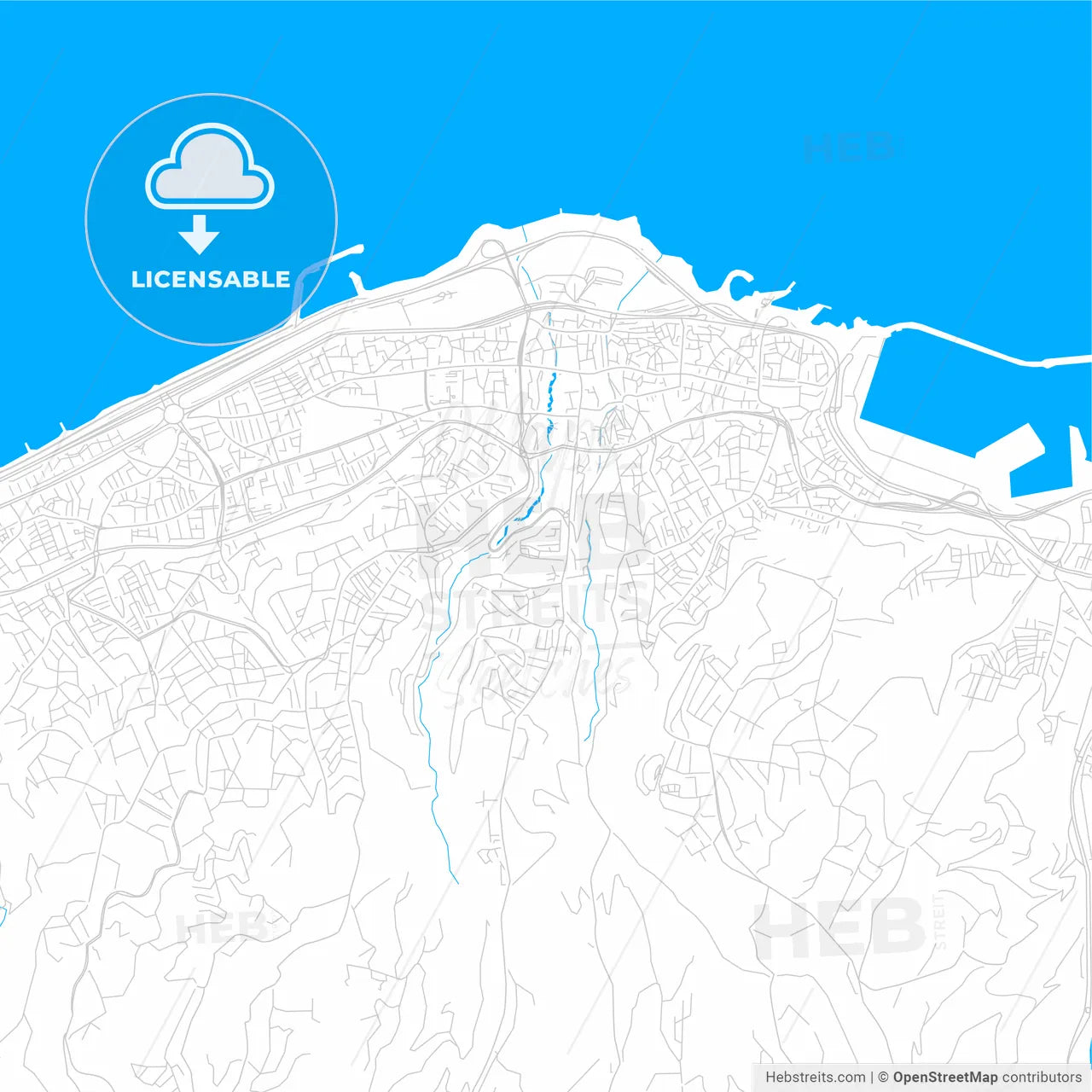 Trabzon, Turkey bright two-toned vector map