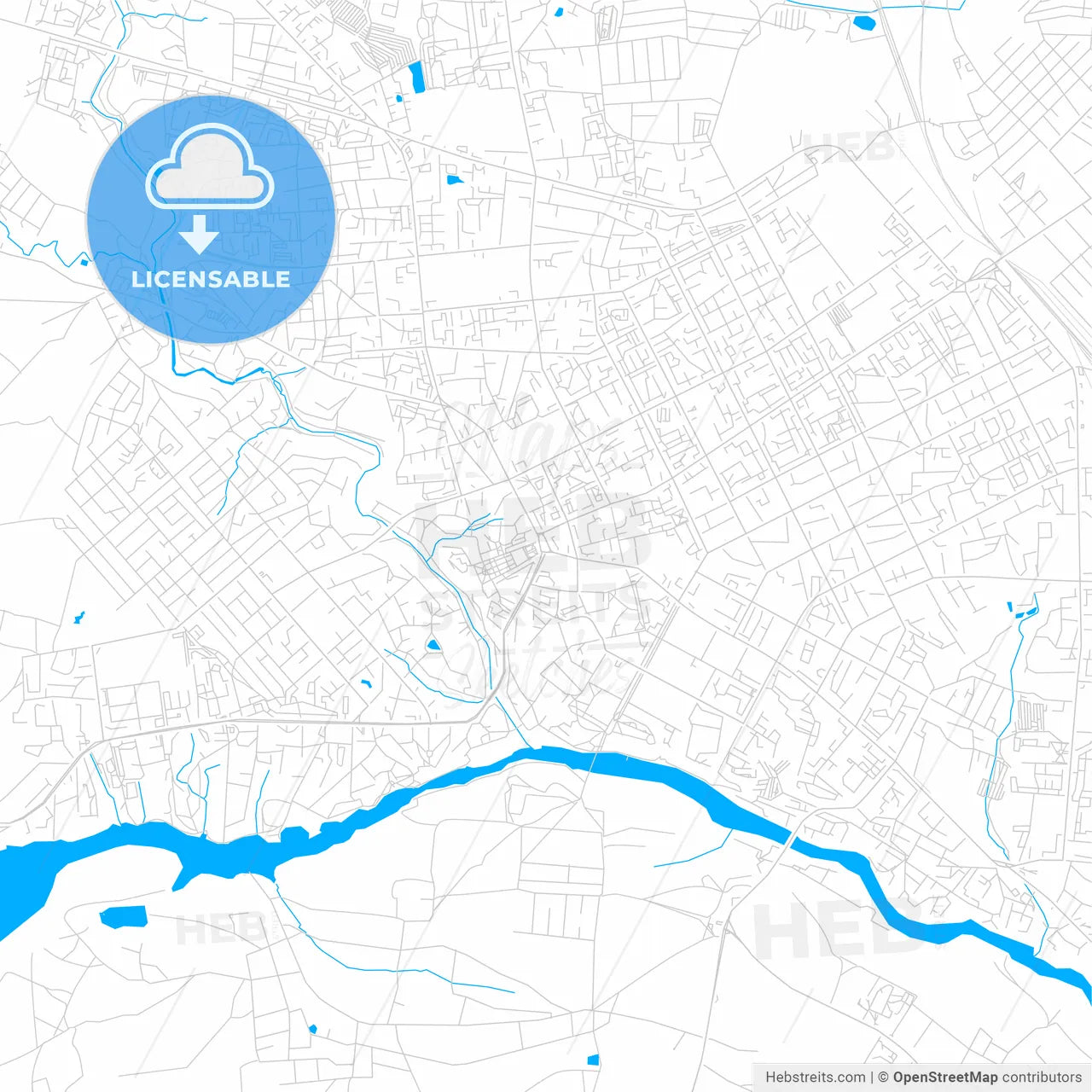 Zhytomyr, Ukraine bright two-toned vector map