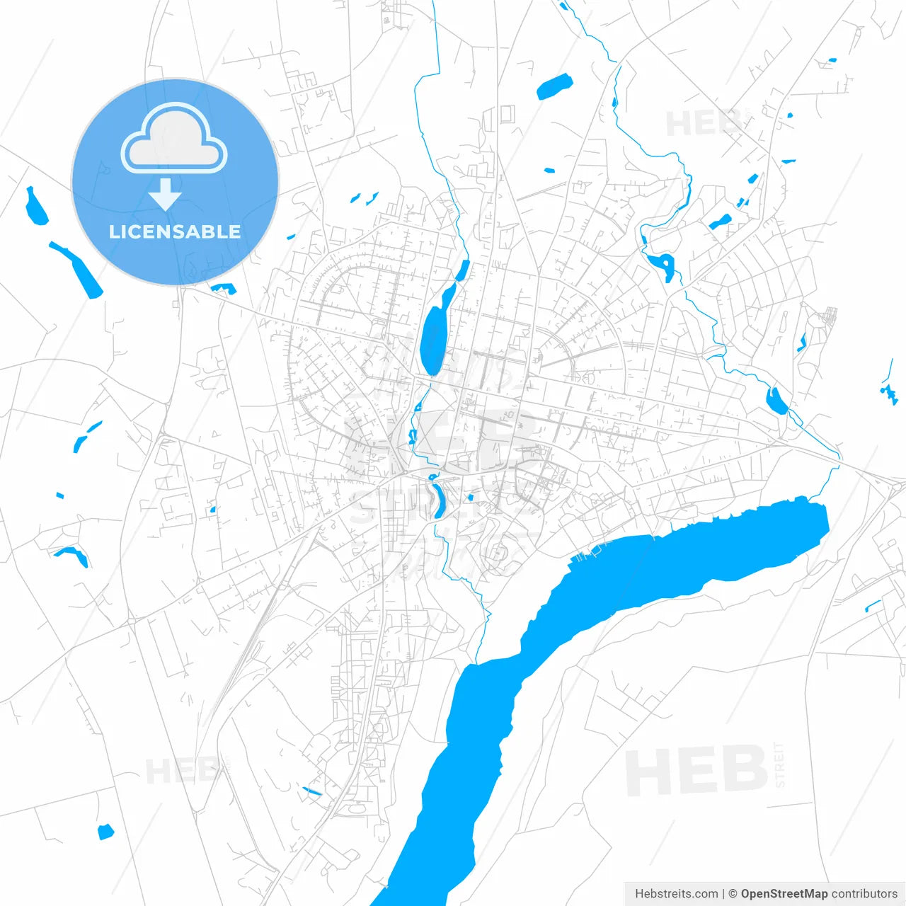 Viljandi, Estonia bright two-toned vector map