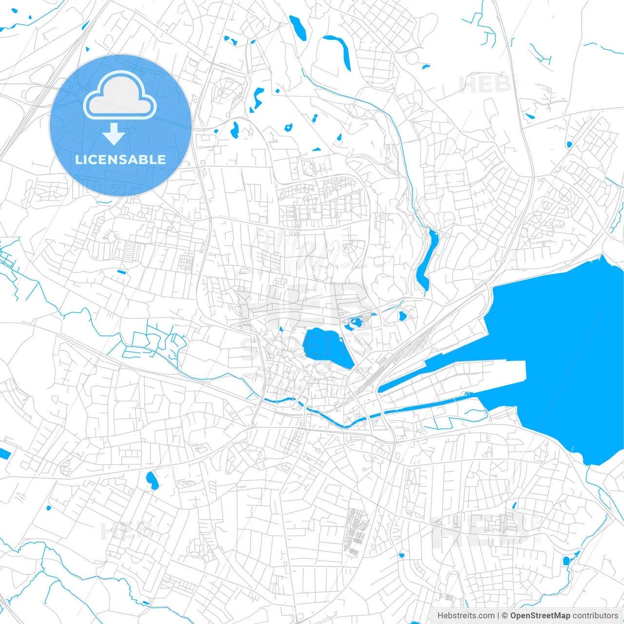 Kolding, Denmark bright two-toned vector map