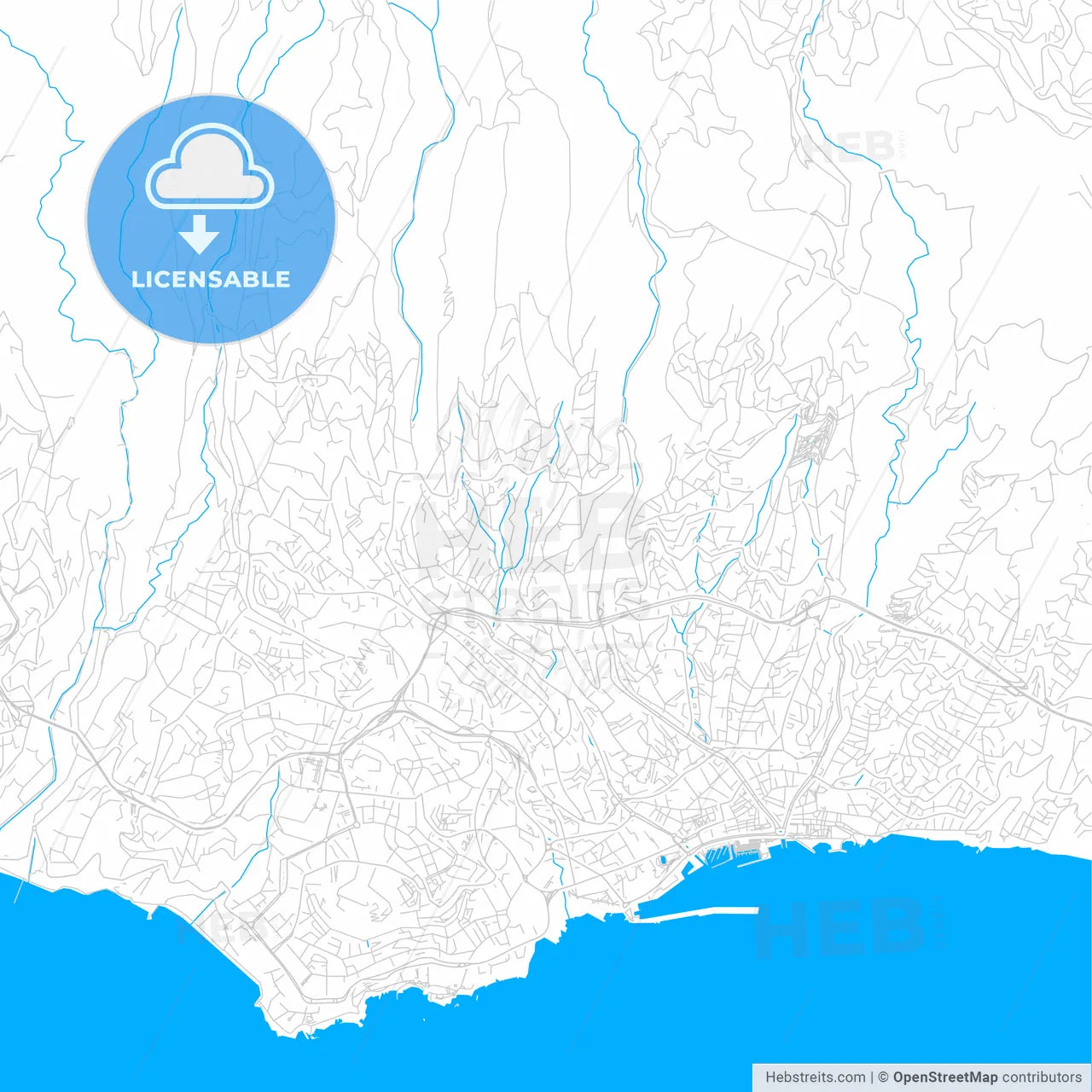 Funchal, Portugal bright two-toned vector map