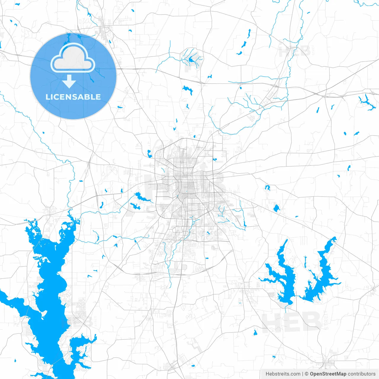 Rich detailed vector map of Tyler, Texas, USA