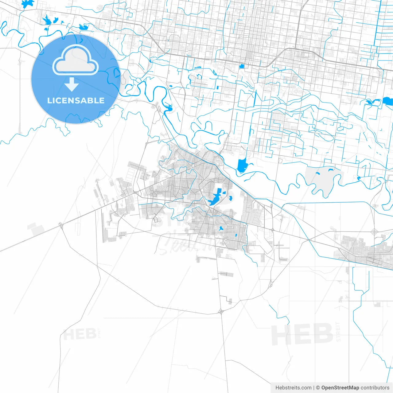 Rich detailed vector map of Reynosa, Tamaulipas, Mexico