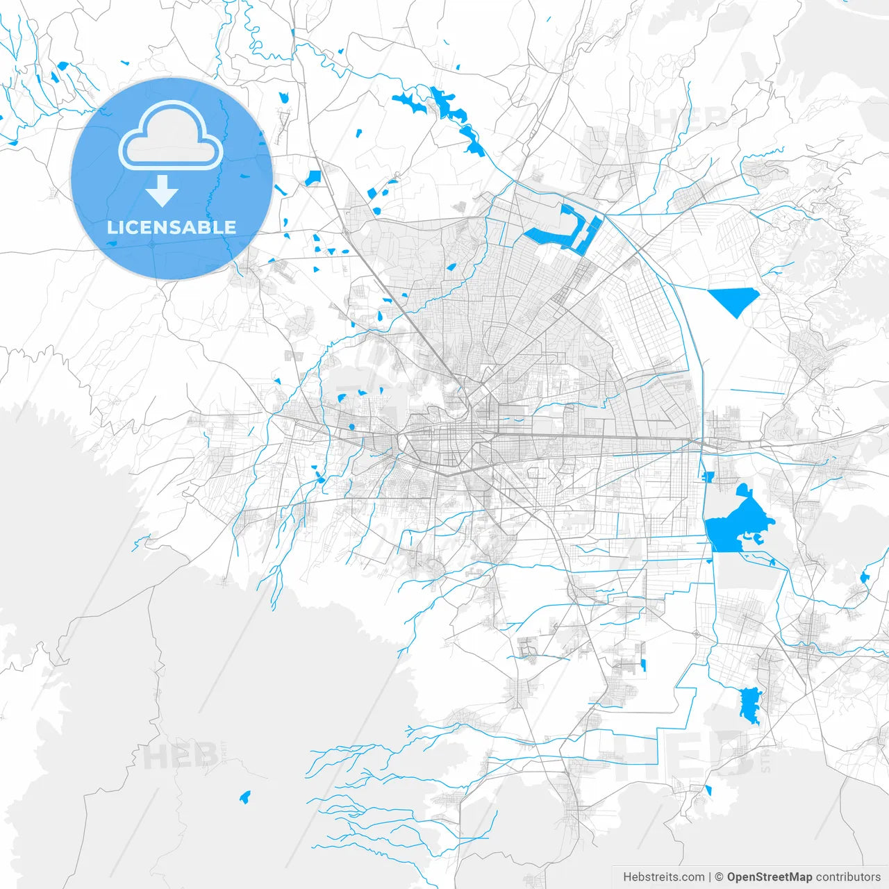 Rich detailed vector map of Toluca, México, Mexico