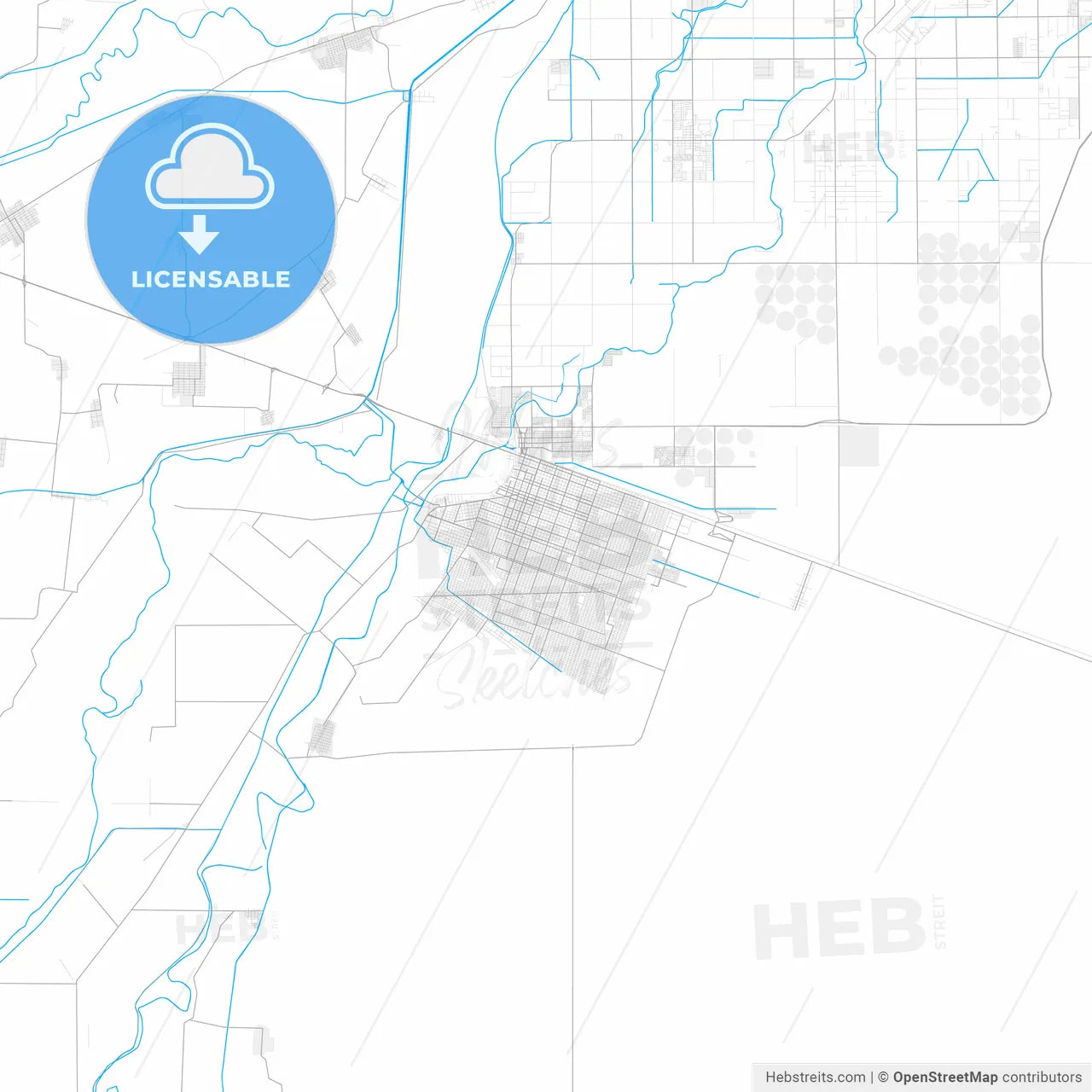 Rich detailed vector map of San Luis Río Colorado, Sonora, Mexico